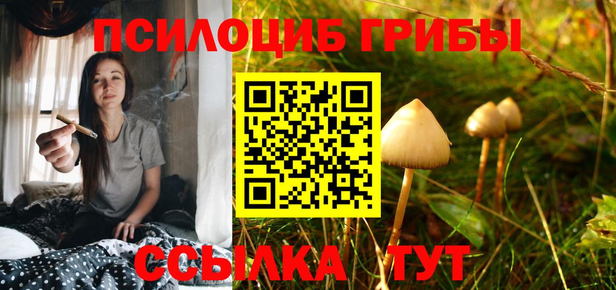 Галлюциногенные грибы Cubensis  Вход с VPN  Ивантеевка 