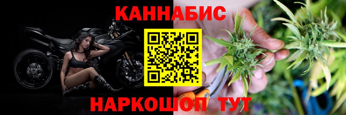 Бошки Шишки марихуана Ивантеевка